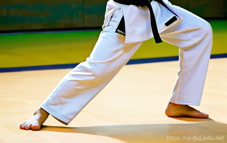 태권도 훈련 시 필요한 액세서리 - Prompt 1: Dynamic Taekwondo Kick with Protective Gear** 태권도 훈련 시 필요한 액세서리 - Prompt 1: Dynamic Taekwondo Kick with Protective Gear**