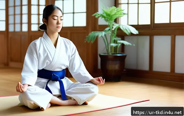 태권도 트레이닝 효과 극대화 관련 이미지 2