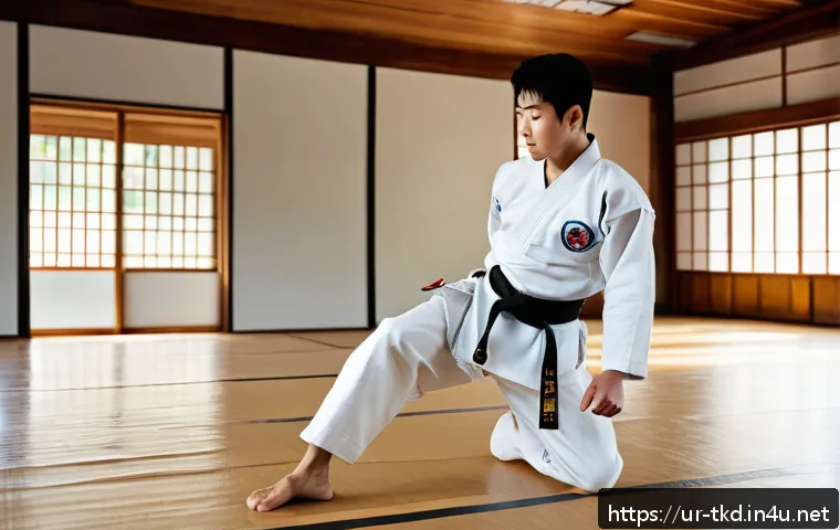 태권도와 한류의 연결점 관련 이미지 1